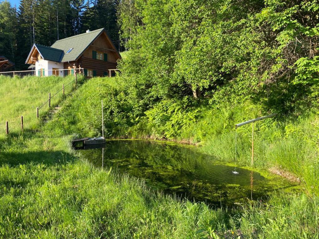 Schilcherland Chalet Suedsteiermark Villa Trahutten Exterior photo